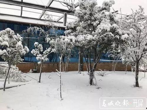 昆明爆料下雪事件最新情况,市民欢声笑语迎瑞雪