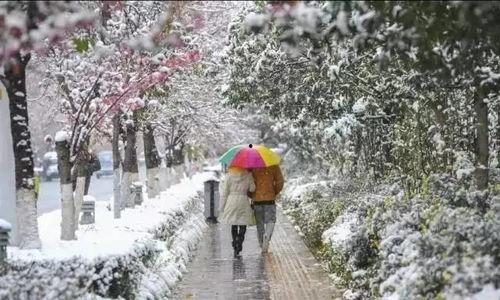 昆明爆料下雪事件最新情况,市民欢声笑语迎瑞雪 第2张 昆明爆料下雪事件最新情况,市民欢声笑语迎瑞雪 第2张