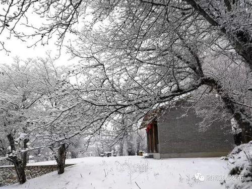 昆明爆料下雪事件最新情况,市民欢声笑语迎瑞雪 第3张 昆明爆料下雪事件最新情况,市民欢声笑语迎瑞雪 第3张