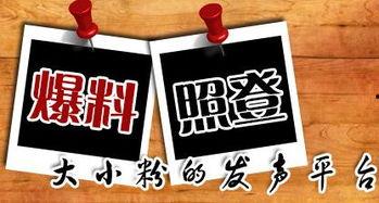新闻在线官网爆料,揭秘重大新闻事件背后真相