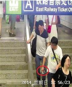 扒手 在线观看,揭秘街头盗窃背后的惊心动魄
