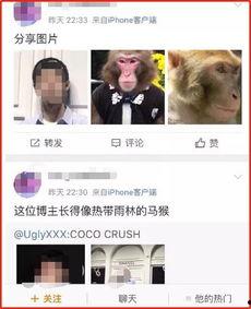 微博蔡徐坤粉丝爆料视频,揭秘背后真相 第3张 微博蔡徐坤粉丝爆料视频,揭秘背后真相 第3张