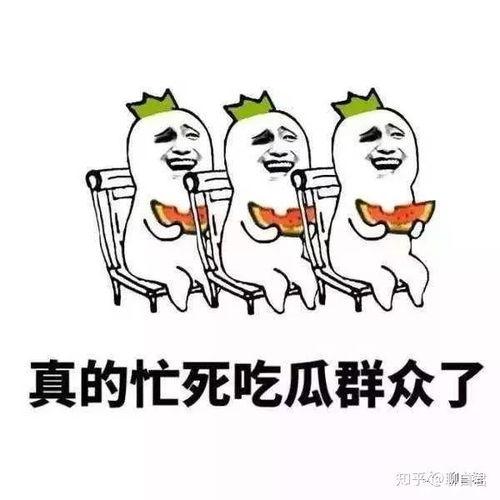 只吃瓜不看戏的网红,揭秘只吃瓜不看戏的网红传奇 第2张 只吃瓜不看戏的网红,揭秘只吃瓜不看戏的网红传奇 第2张