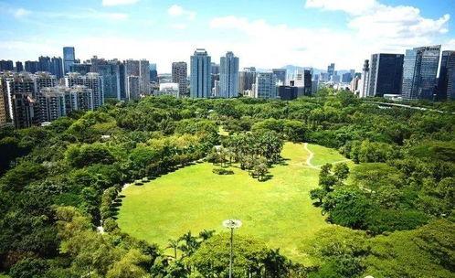 深圳市八卦最新爆料新闻,深圳某神秘事件引发热议 第3张 深圳市八卦最新爆料新闻,深圳某神秘事件引发热议 第3张