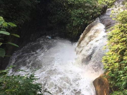 网友爆料山洪视频下载