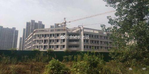 吴川中学爆料案件最新,真相揭开,校园安全再引关注 第2张 吴川中学爆料案件最新,真相揭开,校园安全再引关注 第2张