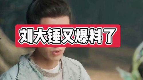 于大锤最新爆料,揭秘娱乐圈最新热点事件 第3张 于大锤最新爆料,揭秘娱乐圈最新热点事件 第3张
