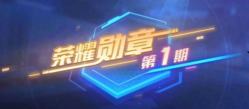 最新勋章服装爆料视频,炫酷设计,彰显荣誉与风采 第2张 最新勋章服装爆料视频,炫酷设计,彰显荣誉与风采 第2张