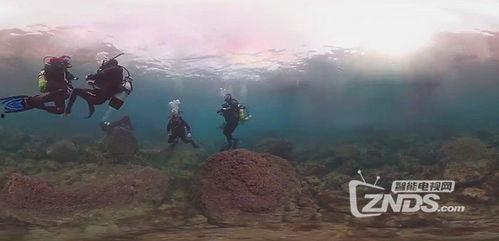 水下之城爆料视频,探寻神秘水下之城奥秘 第3张 水下之城爆料视频,探寻神秘水下之城奥秘 第3张