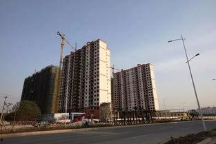 广西贵港商品房爆料新闻,揭露市场真相,购房者需谨慎! 第3张 广西贵港商品房爆料新闻,揭露市场真相,购房者需谨慎! 第3张