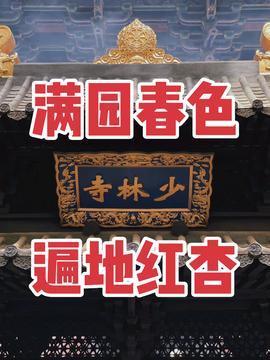 佛教热点爆料新闻,揭秘神秘爆料背后的真相  第2张
