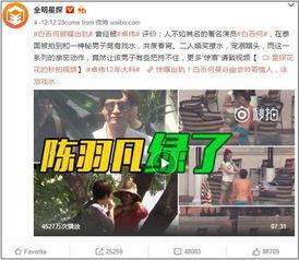 阜阳事件大爆料视频播放,视频曝光背后的真相与反思  第3张