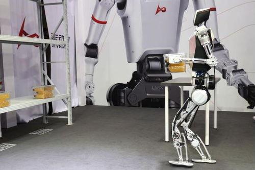 仆人爆料实机演示视频大全,实机演示视频大全深度解析