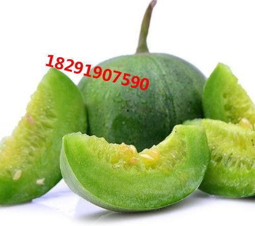 甜瓜生物爆料是真的吗视频,甜瓜生物爆料视频真实性揭秘  第3张