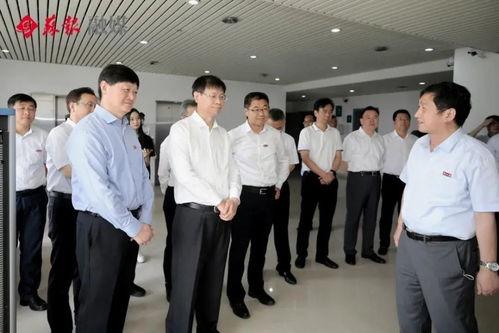 武汉宠物爆料事件最新进展,最新进展揭示真相与后续处理