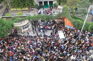 云南小学爆料事件最新情况,真相逐步浮出水面，家长教师关系紧张引关注  第3张