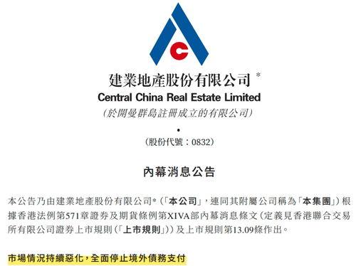 建业地产最新爆料,揭秘未来发展规划与战略布局  第3张