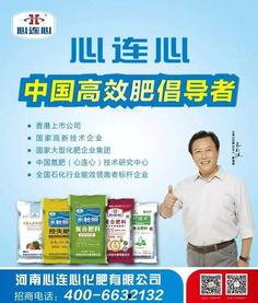 河南电视台最新爆料,揭秘某事件背后惊人真相  第2张