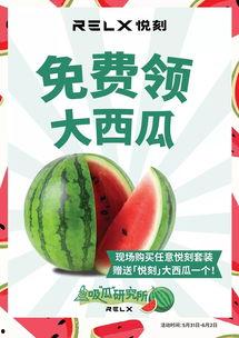 在线免费吃瓜,揭秘网络世界的免费娱乐盛宴