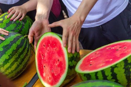 在线免费吃瓜,揭秘网络世界的免费娱乐盛宴  第3张