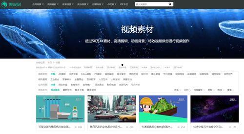 爆料的视频在哪找素材啊,跟随爆料视频轻松寻宝