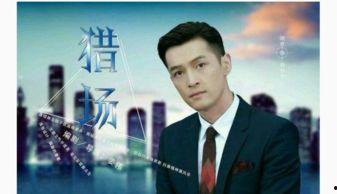 小强爆料王琨视频全集,王琨视频全集深度剖析