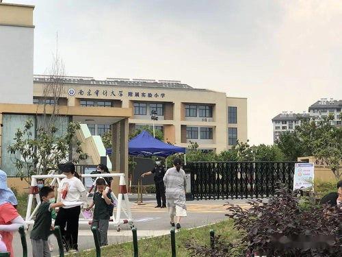 南师附中爆料事件最新,揭秘校园风波背后的真相与反思  第2张