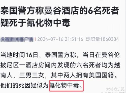 孙美琪最新爆料新闻事件,揭开娱乐圈惊人内幕  第2张