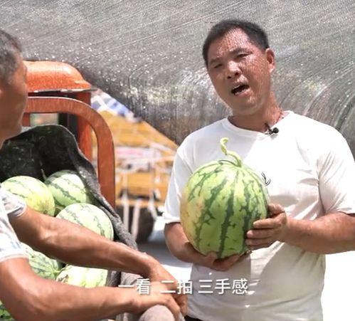 娱乐吃瓜顶流,揭秘吃瓜顶流的幕后故事  第3张