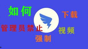 最新爆料拼多多视频下载
