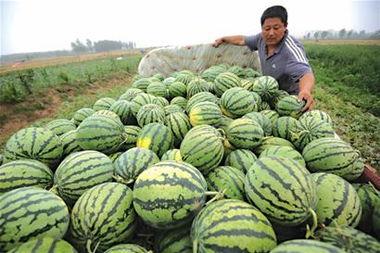 吃瓜网红事件最新高密,揭秘网络舆论背后的真相与争议  第2张