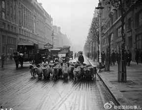 1920伦敦在线观看,穿越时空的在线之旅  第2张