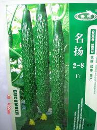 黄瓜农药爆料视频下载安装,视频爆料背后的种植秘密