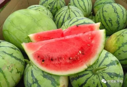 娱乐园吃瓜  第2张