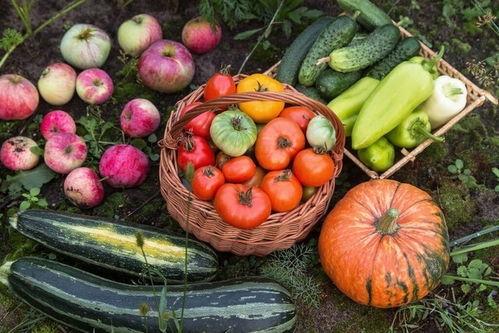 娱乐园吃瓜  第3张