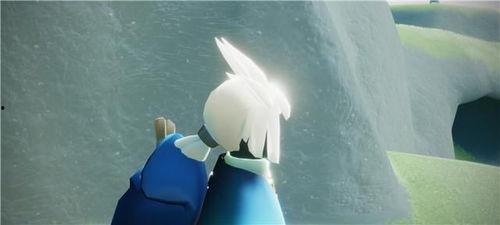 白鸟白枭早期爆料视频,独家视频内容深度解析  第3张