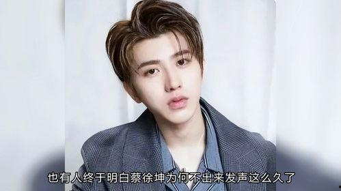 蔡徐坤单身娱乐爆料,揭秘娱乐圈背后的情感谜团  第3张