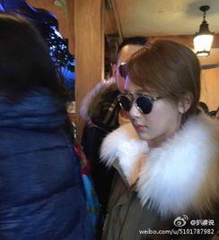 狗仔爆料杨紫视频合集,狗仔爆料视频合集回顾