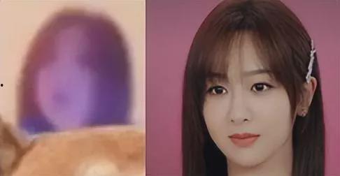 狗仔爆料杨紫视频合集,狗仔爆料视频合集回顾  第3张