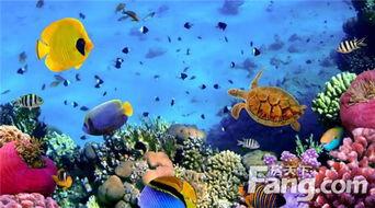 最新爆料海底世界,揭秘海底世界新发现