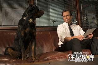 汪星卧底在线观看,萌犬侦探的神秘冒险  第2张