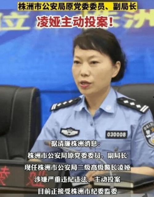 凌娅最新爆料,娱乐圈背后的惊人真相  第2张