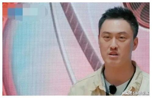 以前娱乐圈吃瓜爆料,揭秘明星背后的秘密与真相 第2张 以前娱乐圈吃瓜爆料,揭秘明星背后的秘密与真相 第2张