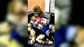 爆料娱乐的小恶魔,揭秘明星不为人知的一面  第2张