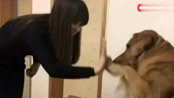 爆料娱乐的小恶魔,揭秘明星不为人知的一面  第3张