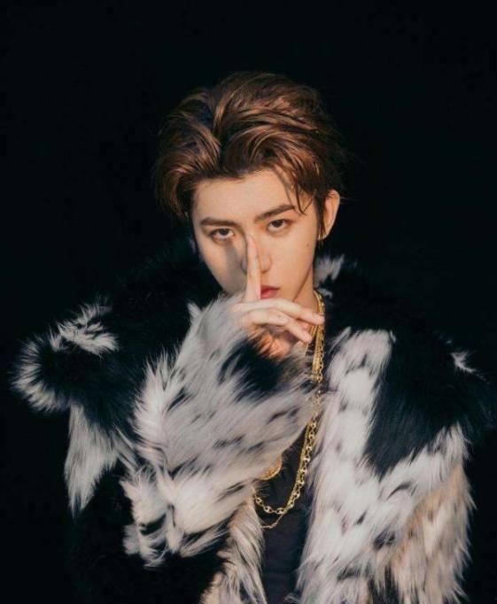 蔡徐坤周深爆料视频合集,揭秘幕后故事与精彩瞬间  第2张