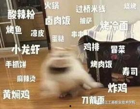 娱乐吃瓜酱外卖小哥备注,外卖小哥备注背后的娱乐吃瓜故事